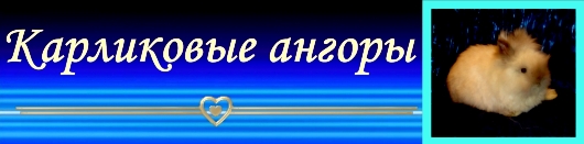 Ангорские кролики и уход за ними Ангорские кролики и уход за ними